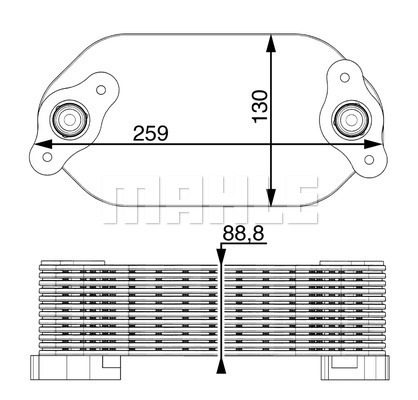 WG2181113