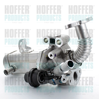WG1408741