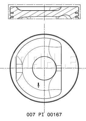 WG2325788