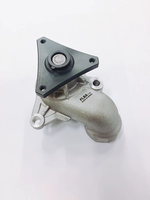 WPF019