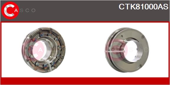 CTK81000AS