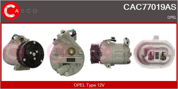 CAC77019AS
