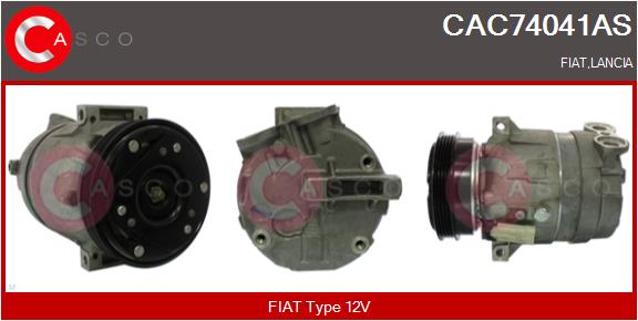 CAC74041AS