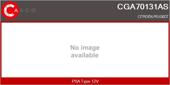 CGA70131AS