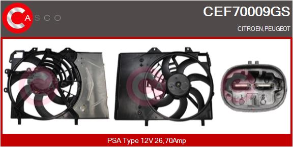 CEF70009GS