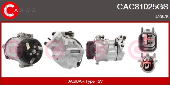 CAC81025GS