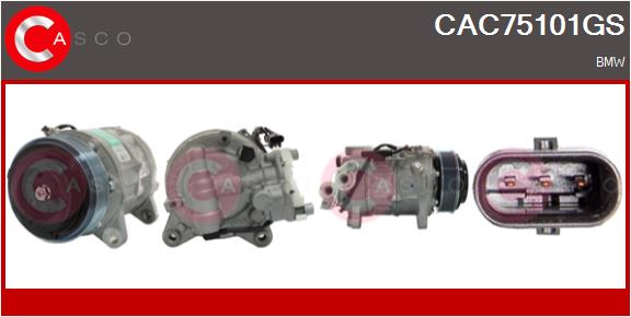 CAC75101GS