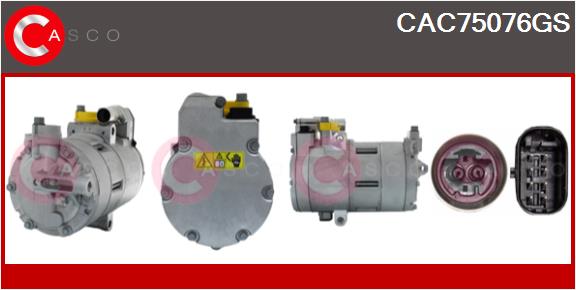 CAC75076GS