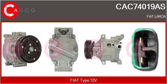CAC74019AS