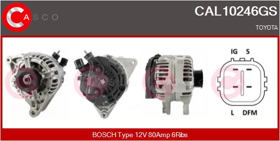 CAL10246GS