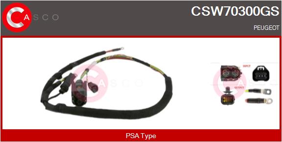 CSW70300GS