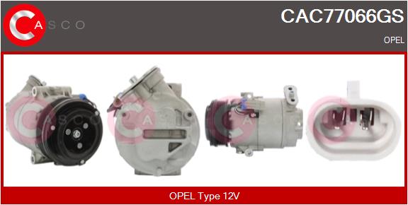 CAC77066GS
