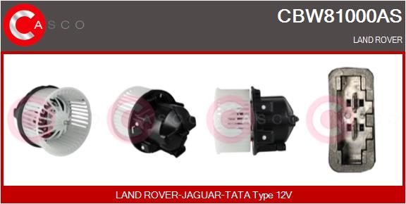 CBW81000AS