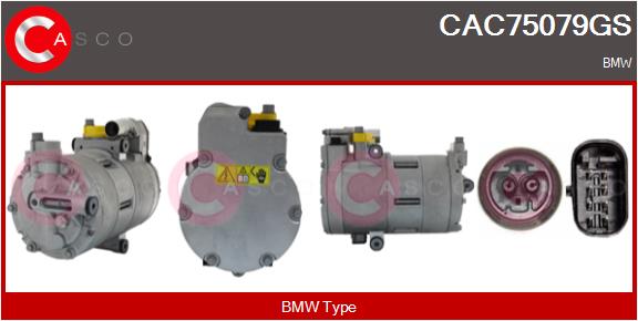 CAC75079GS