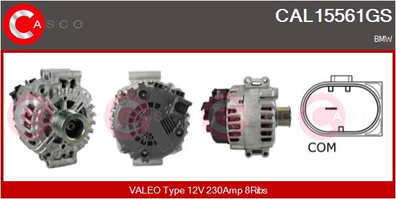 CAL15561GS