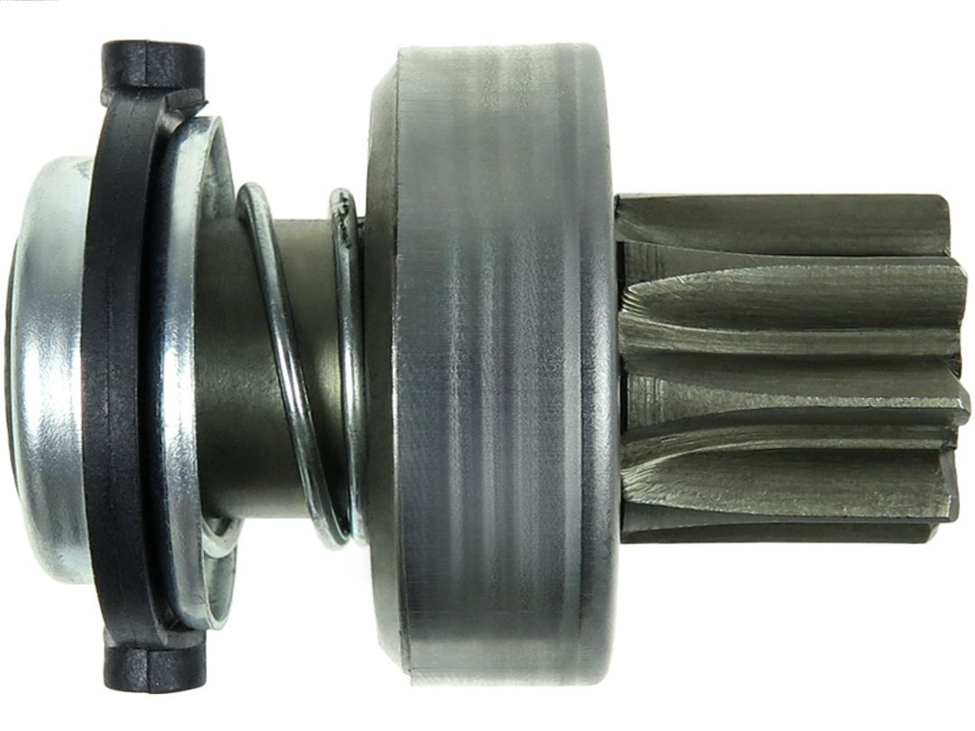 SD0081