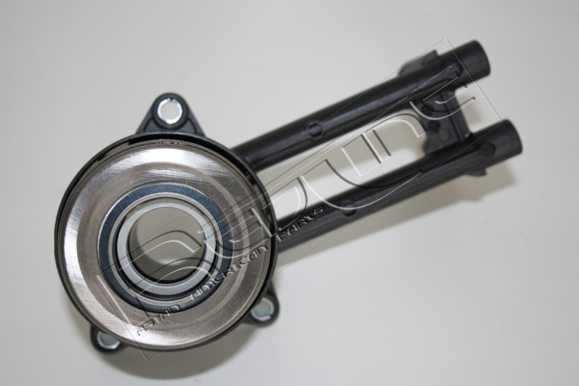 25MZ031