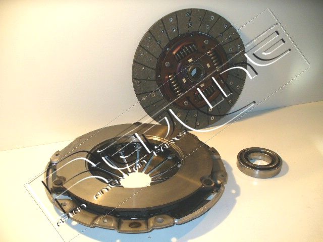 25IZ016