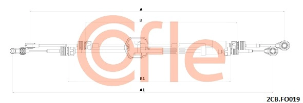 2CB.FO019