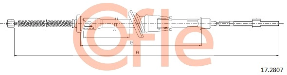 172807