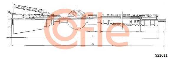 S21011