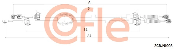 2CB.NI003