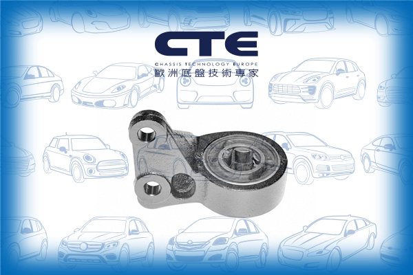 CBH31003L
