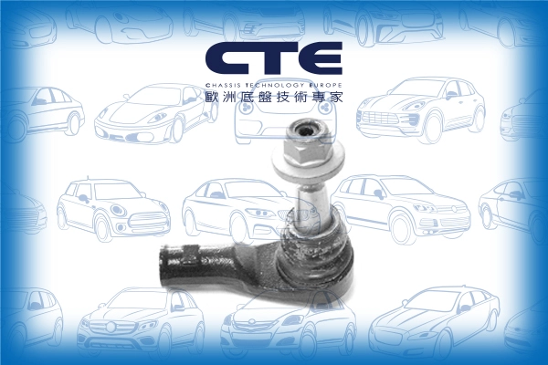 CTE31004