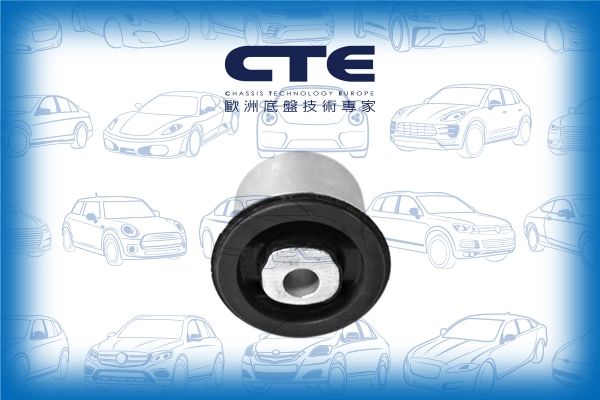 CBH20011