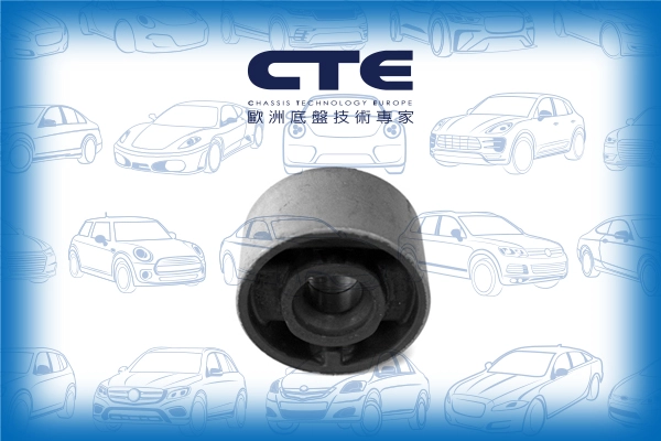 CBH09018