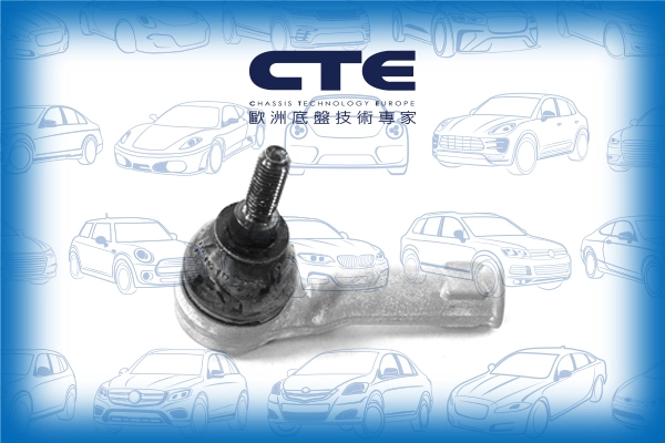 CTE31005