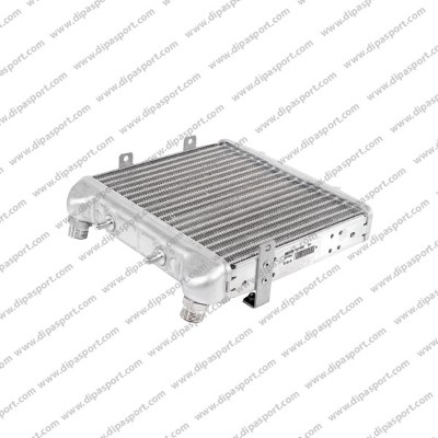 RAO067N