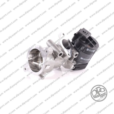 EGR011R