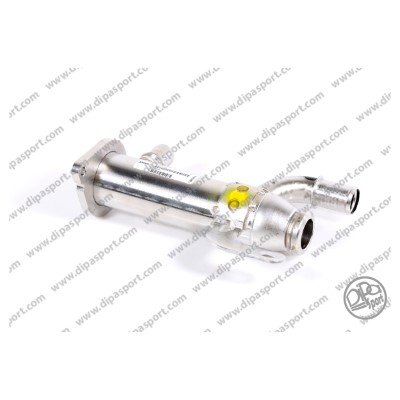 EGR199N
