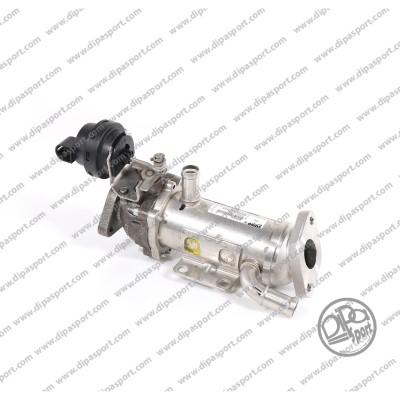 EGR198N
