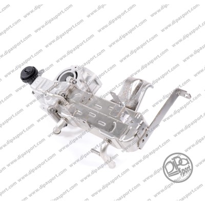 EGR293N