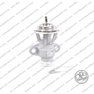 EGR038DPSN