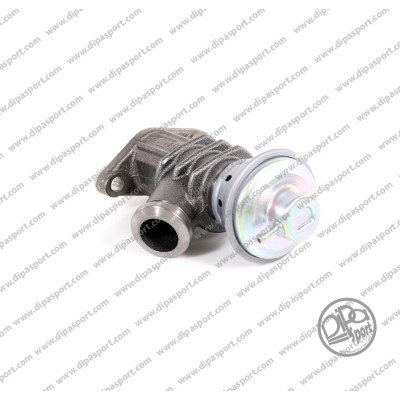 EGR319N