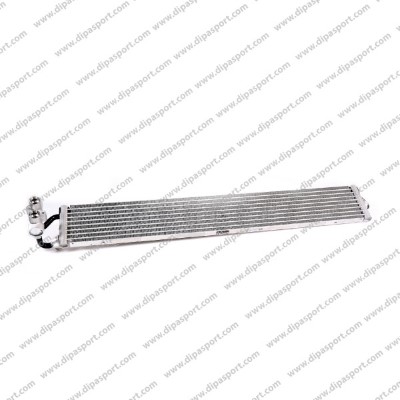RAO124N