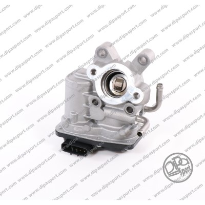 EGR161R