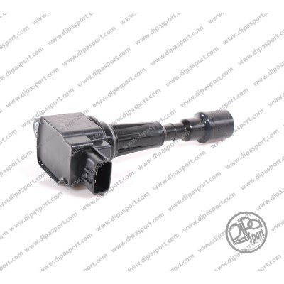 BBA313DLPN