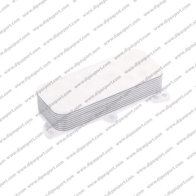 RAO024AN