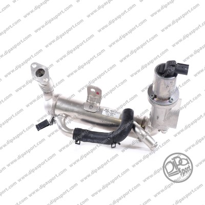 EGR494N