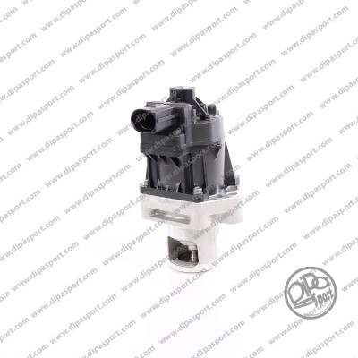 EGR246