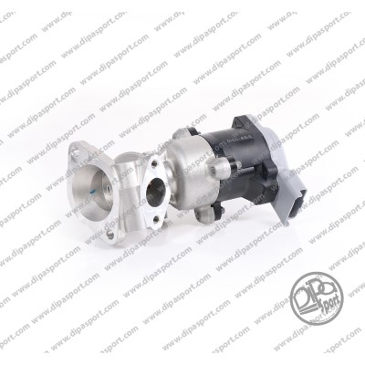 EGR029R