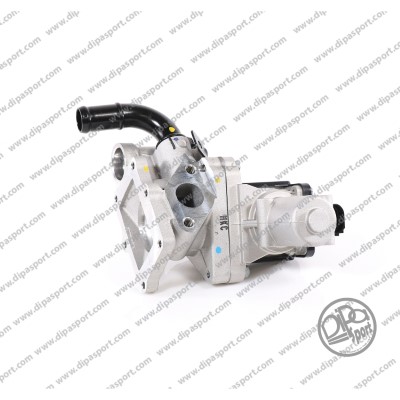 EGR126N