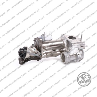 EGR289N