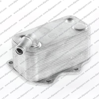 RAO016AN
