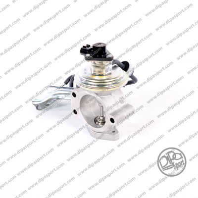 EGR397N