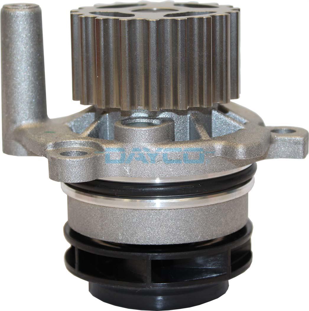 DP206